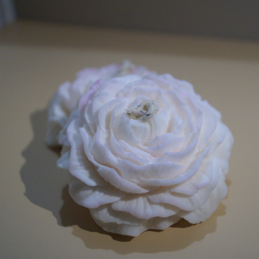 Vela Peonia