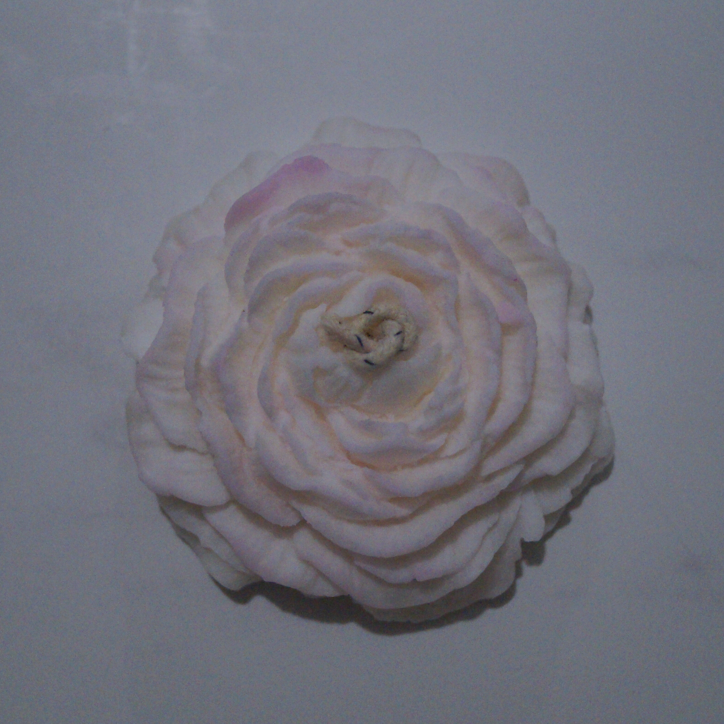 Vela Peonia